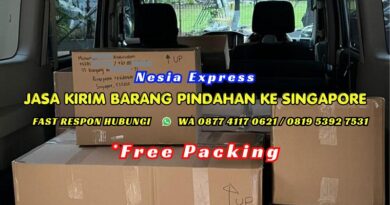 Jasa Pindahan ke Singapore