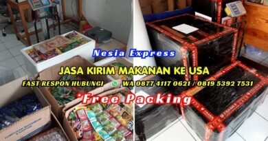Jasa Kirim Makanan ke USA
